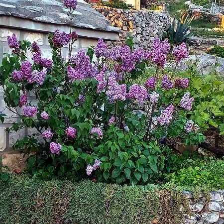 House Terezija Baška Voda