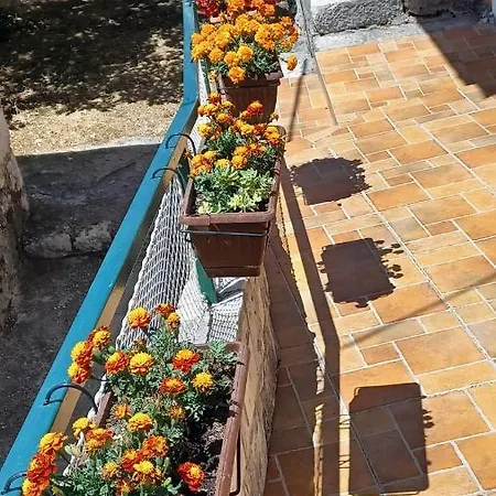 House Terezija Casa vacanze *